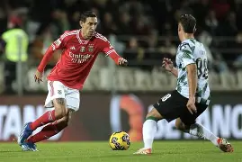 αbab的四字成语